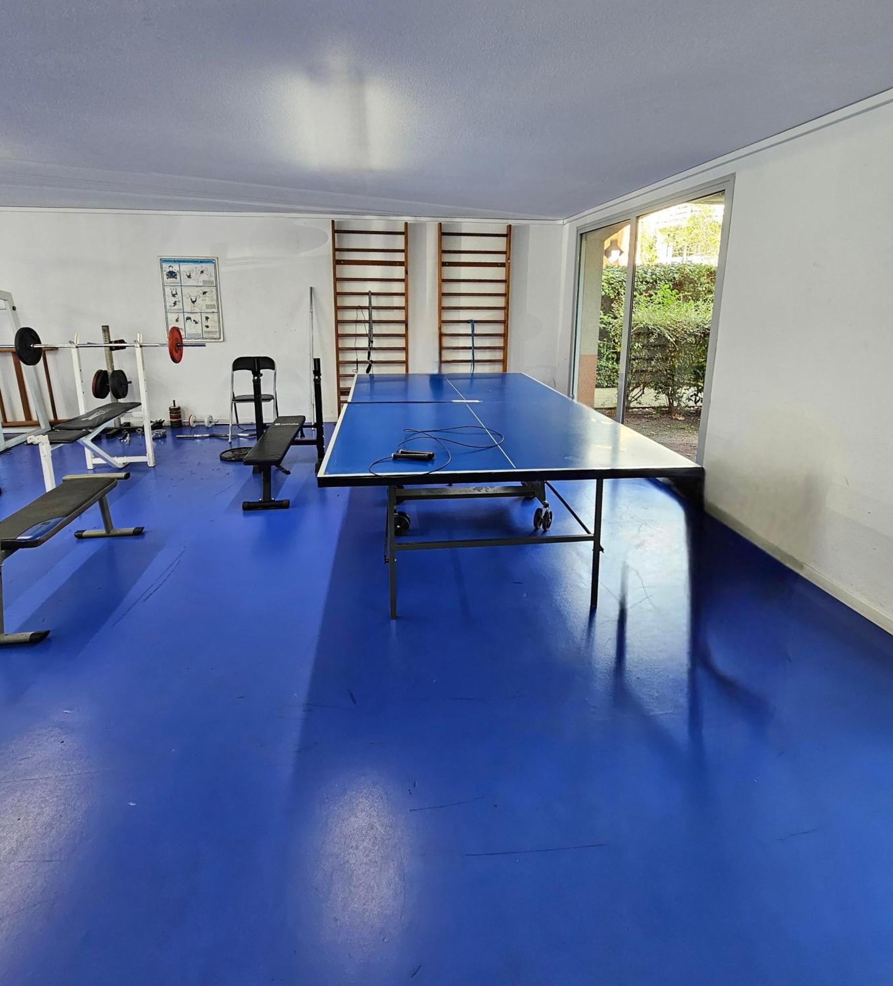 T2 Havre De Paix 2 A 4 P - Terrasse - Parking - Piscine - Salle Sport - Tennis Toulouse Exteriér fotografie